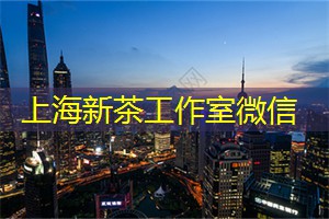 演出盛宴：在上海的各类活动